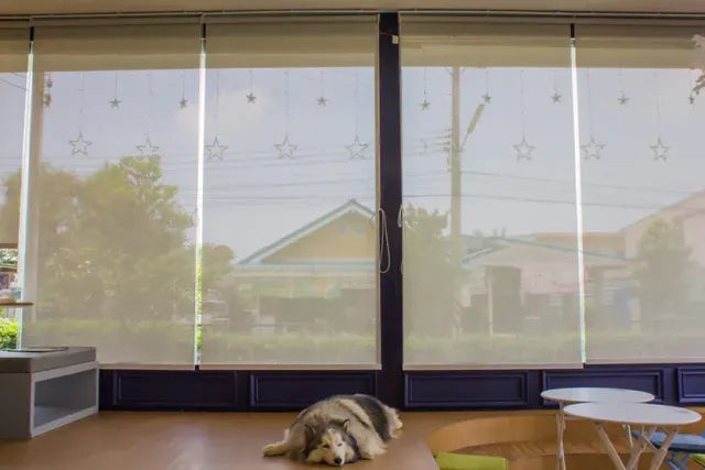 How to Maintain Privacy Without Making Your Room Dark